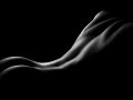 9d552a71628088592f249ba48e1743f5.jpg
